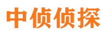 临沂外遇调查取证